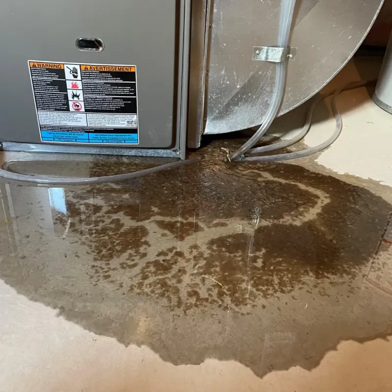 Appliance Leak Cleanup in Middletown, VA